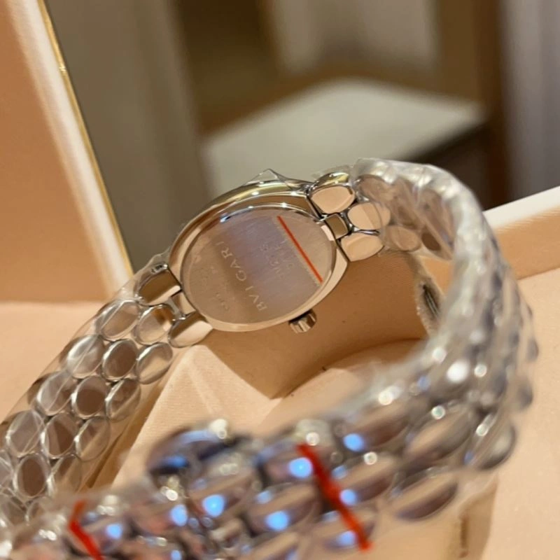 BVLGARI Watches Colorful 178243