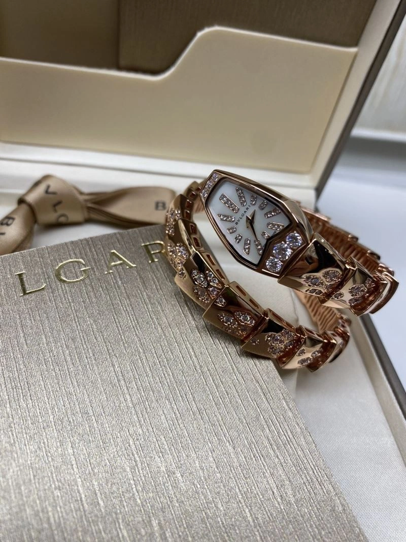 GoAnywhere BVLGARI Watches 178241