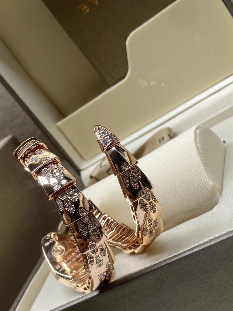 GoAnywhere BVLGARI Watches 178241