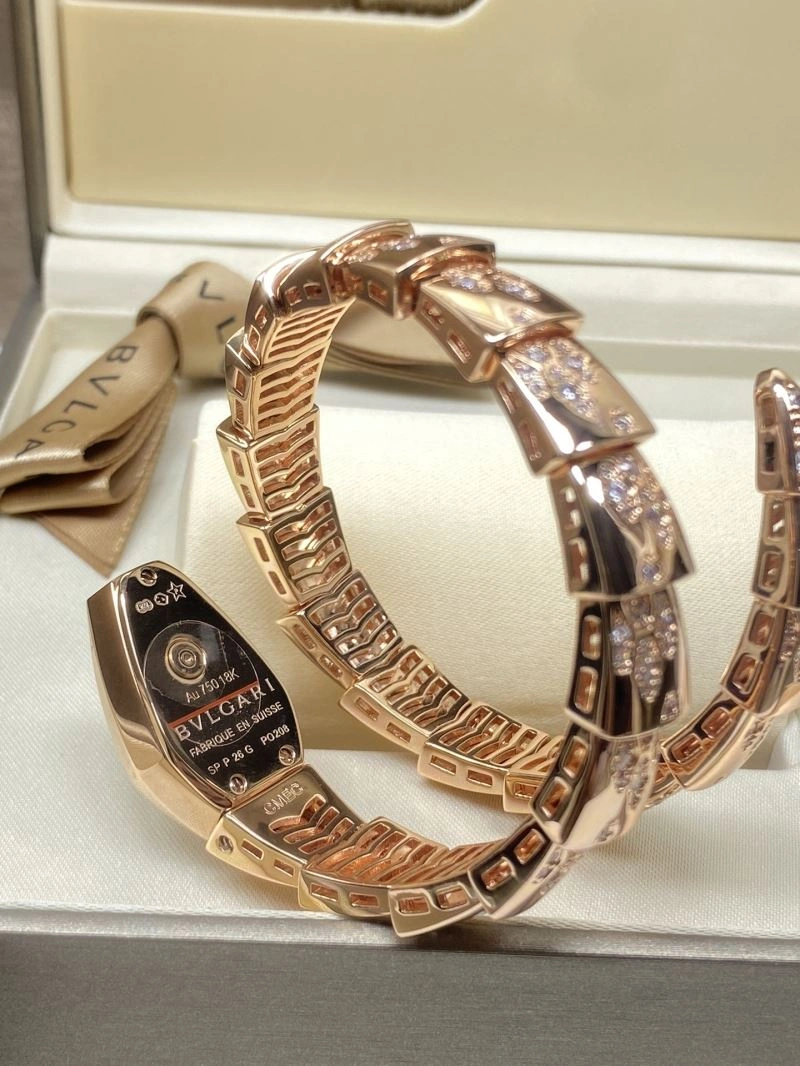 GoAnywhere BVLGARI Watches 178241
