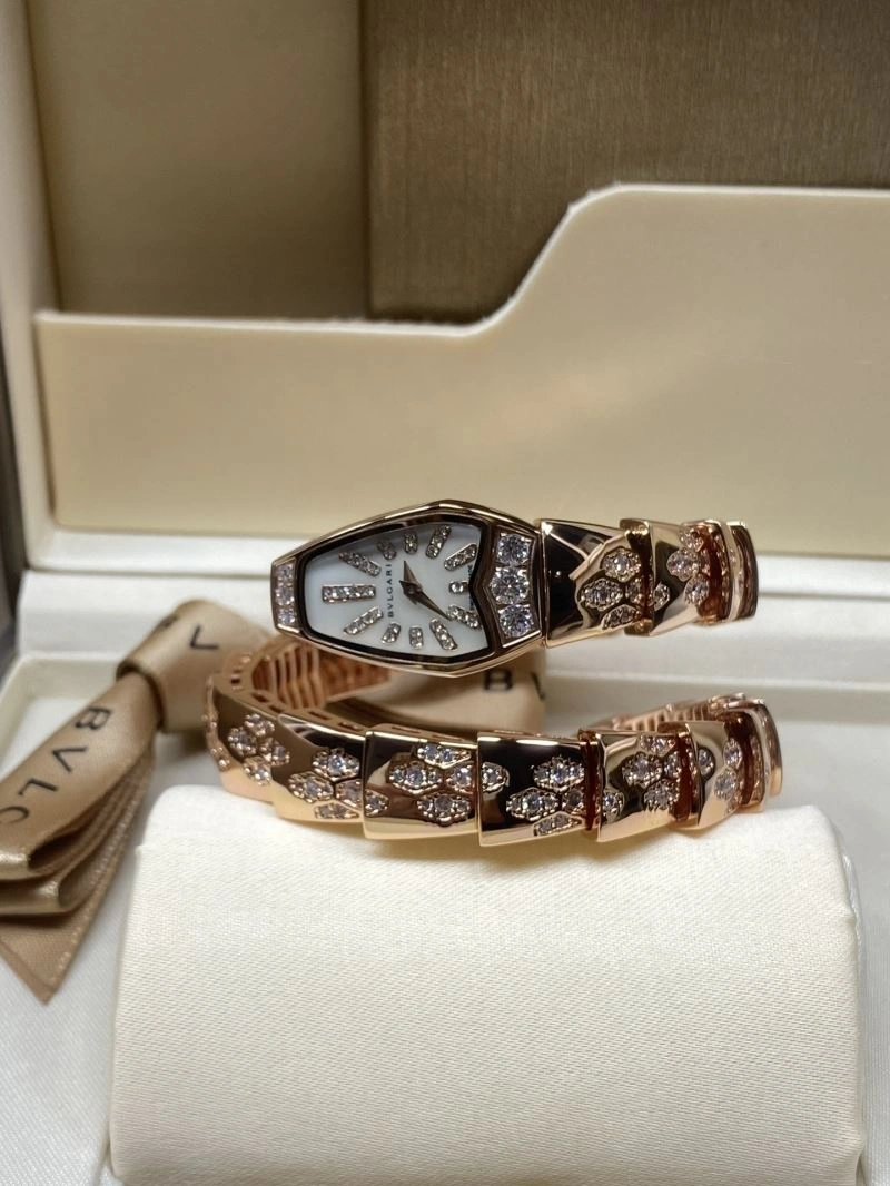 GoAnywhere BVLGARI Watches 178241