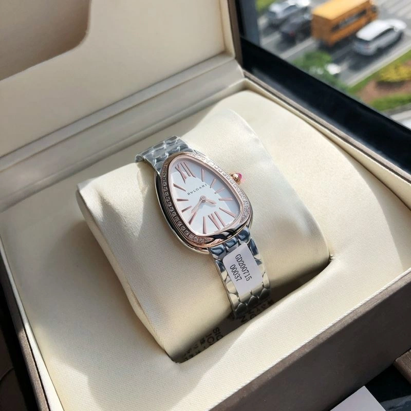 BVLGARI Watches Resilient 178203