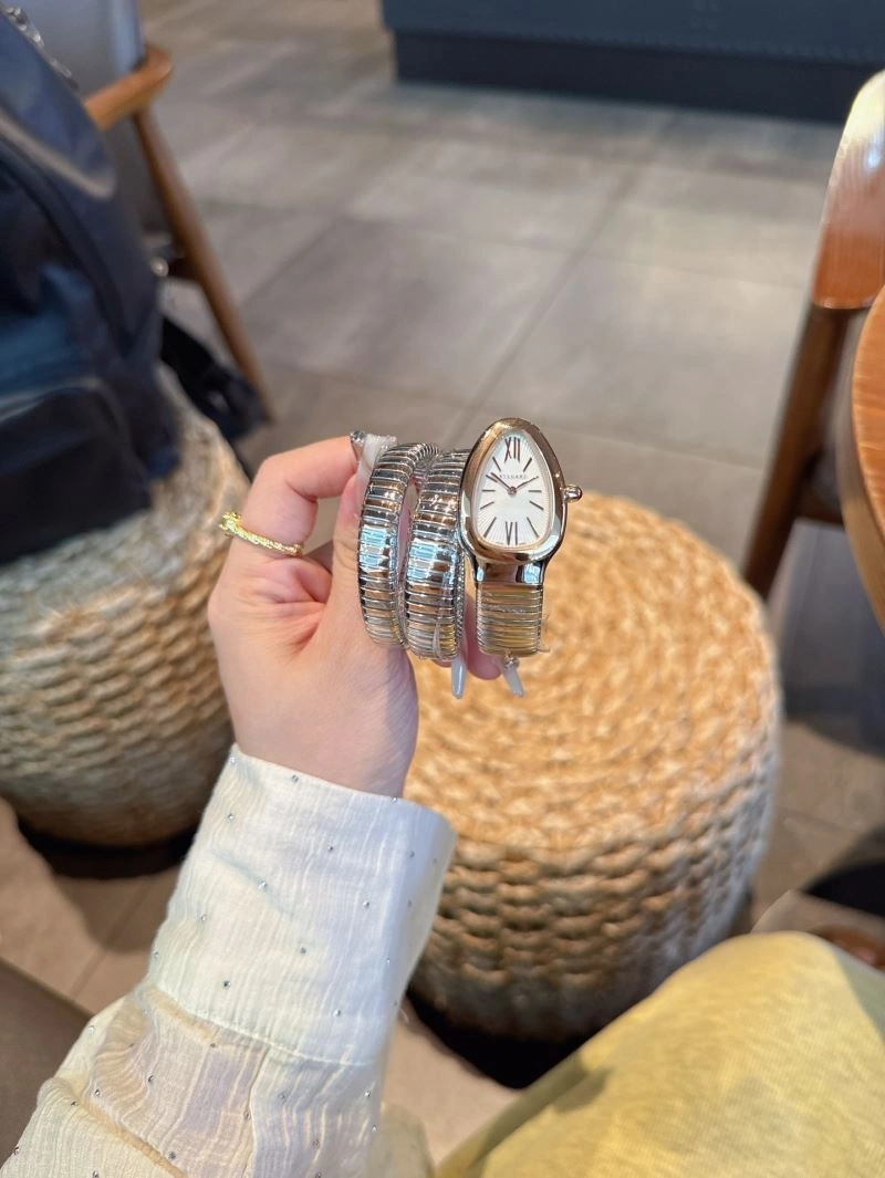 BVLGARI Watches StreetReady 178186