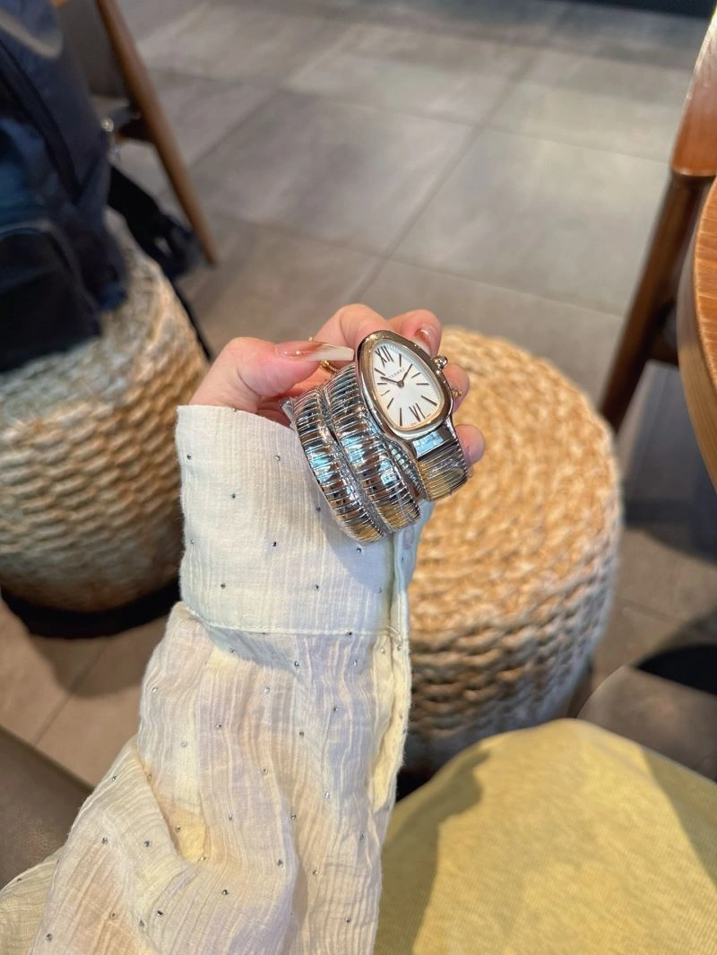 BVLGARI Watches StreetReady 178186