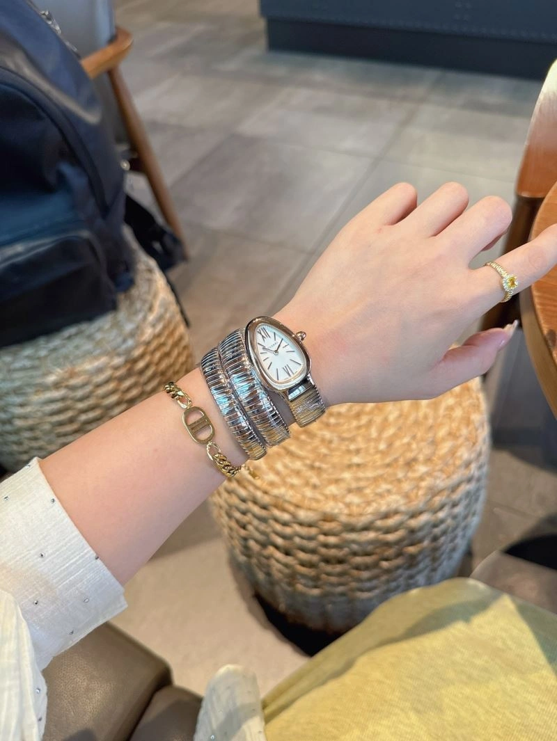 BVLGARI Watches StreetReady 178186