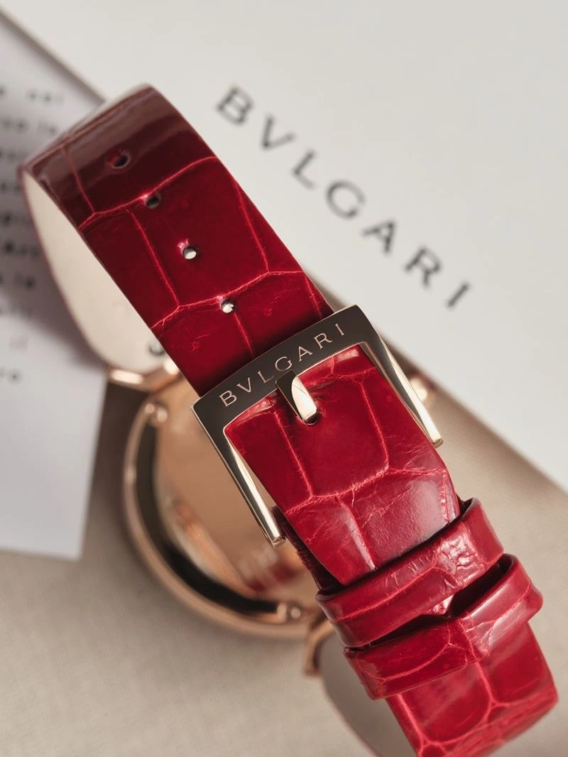 BVLGARI Watches Bright 178162