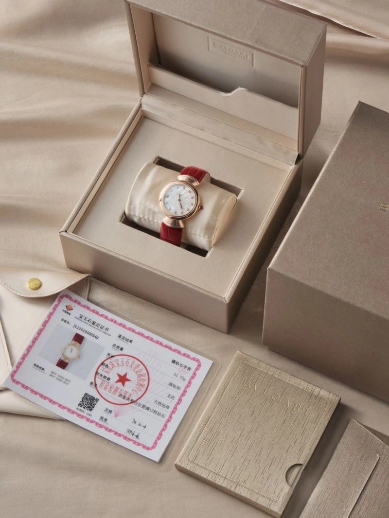 BVLGARI Watches Bright 178162
