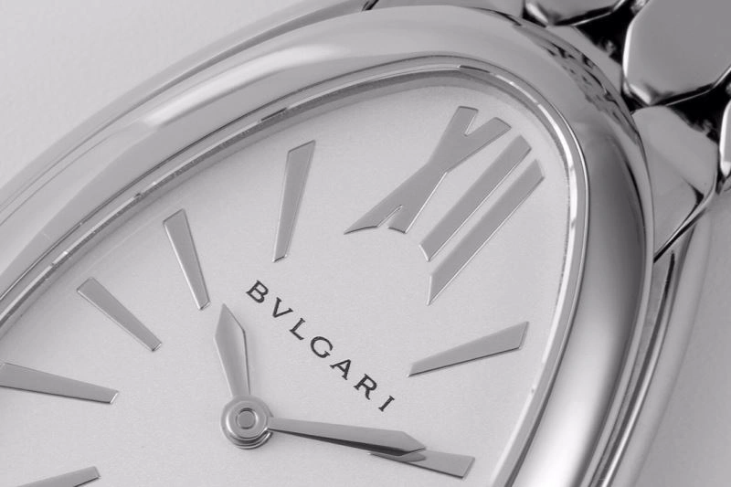 BVLGARI Watches Flexible 178325