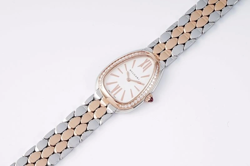 BVLGARI Watches WeatherProof 178305