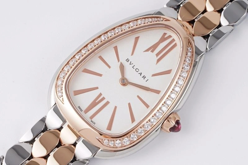 BVLGARI Watches WeatherProof 178305