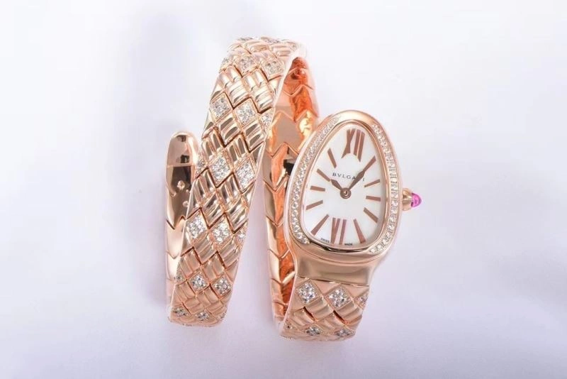 GoAnywhere BVLGARI Watches 178294