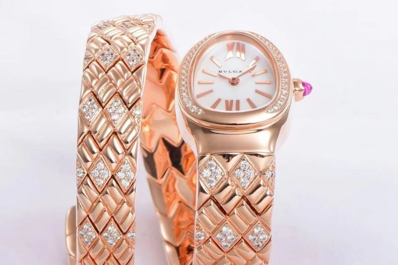 GoAnywhere BVLGARI Watches 178294