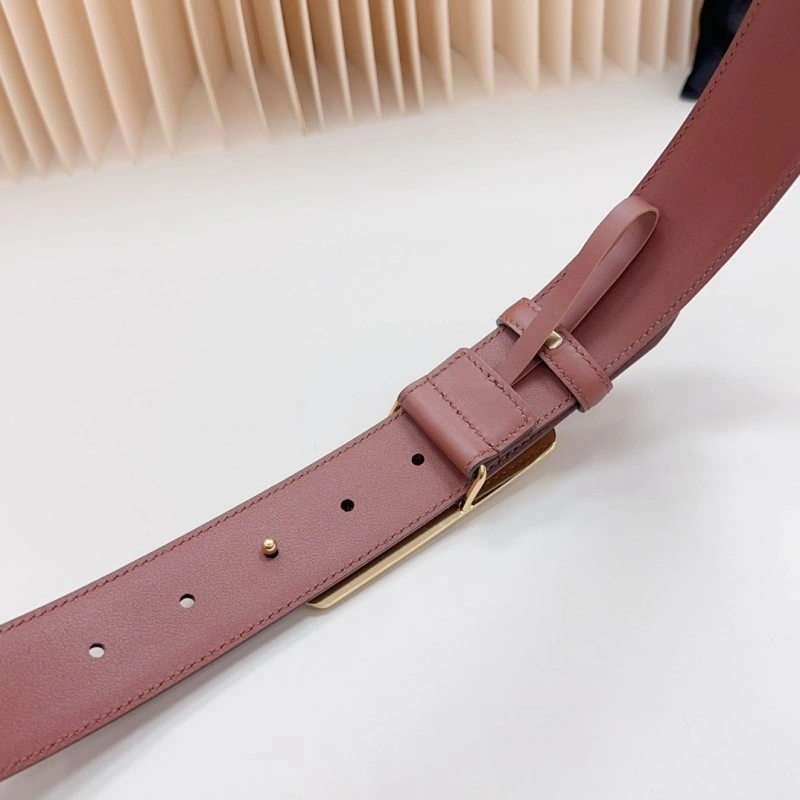 Balenciaga Belts EyeCatching 282930