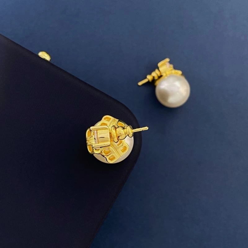 Balenciaga Earrings FastDry 215701
