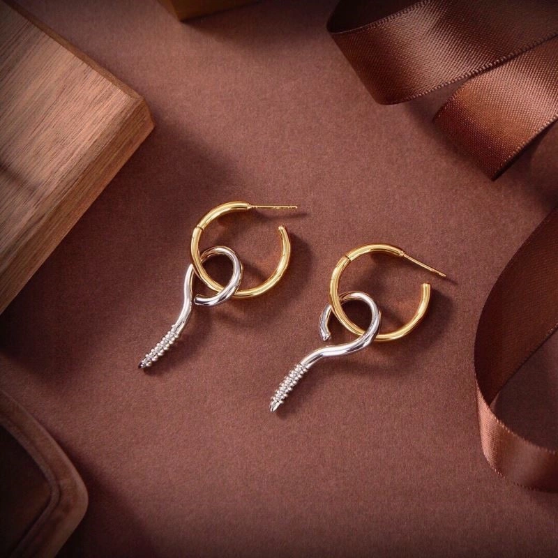 Comfortable Balenciaga Earrings 215514