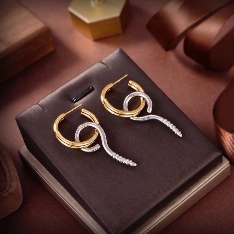 Comfortable Balenciaga Earrings 215514