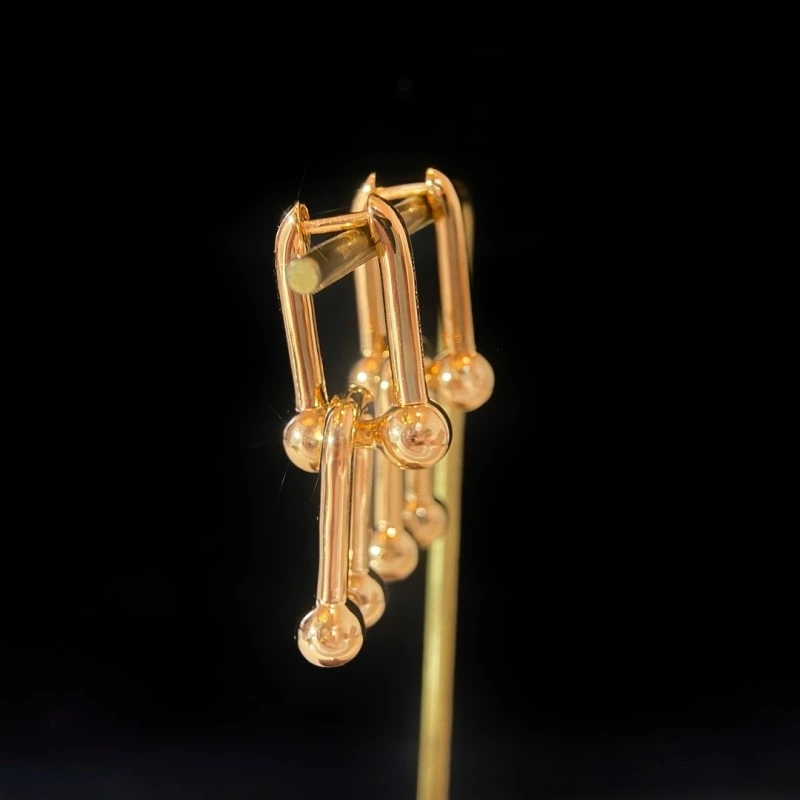 WellDesigned Balenciaga Earrings 215471
