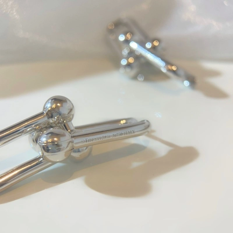 WellDesigned Balenciaga Earrings 215471
