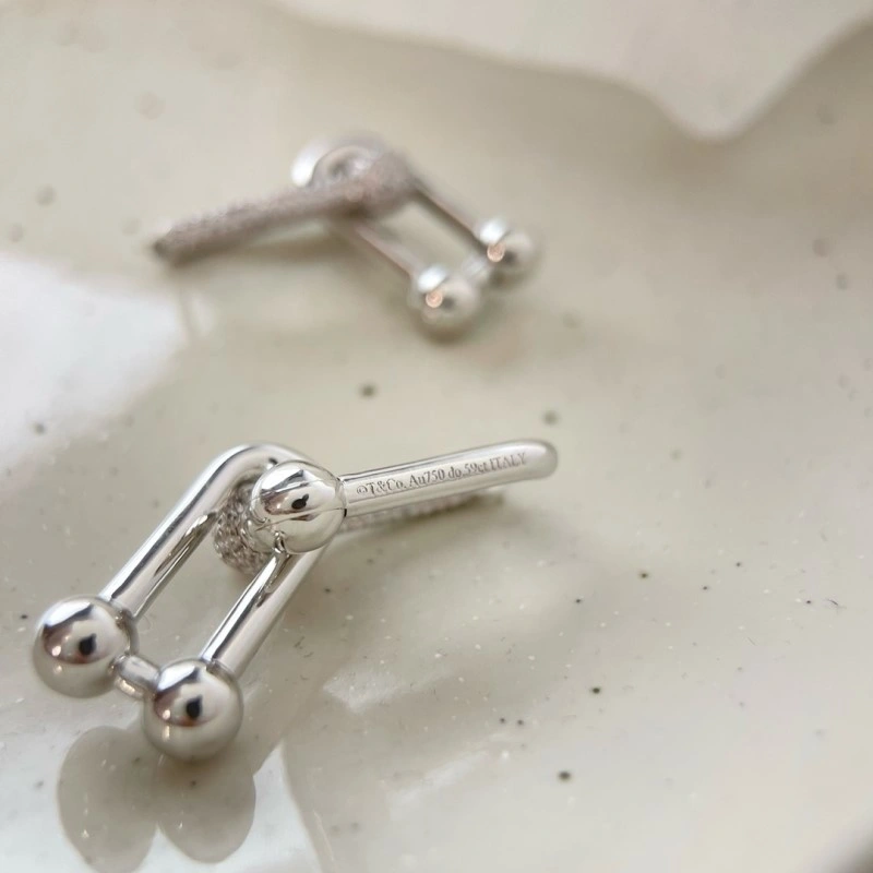 Balenciaga Earrings Stretchable 215469