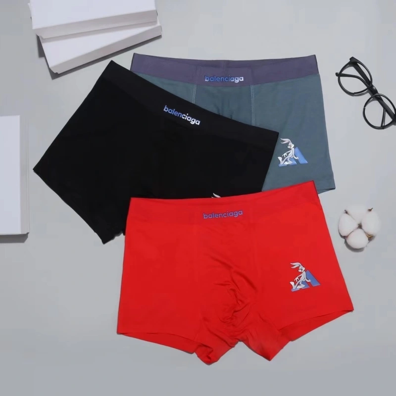 TravelReady Balenciaga Underwear 276545