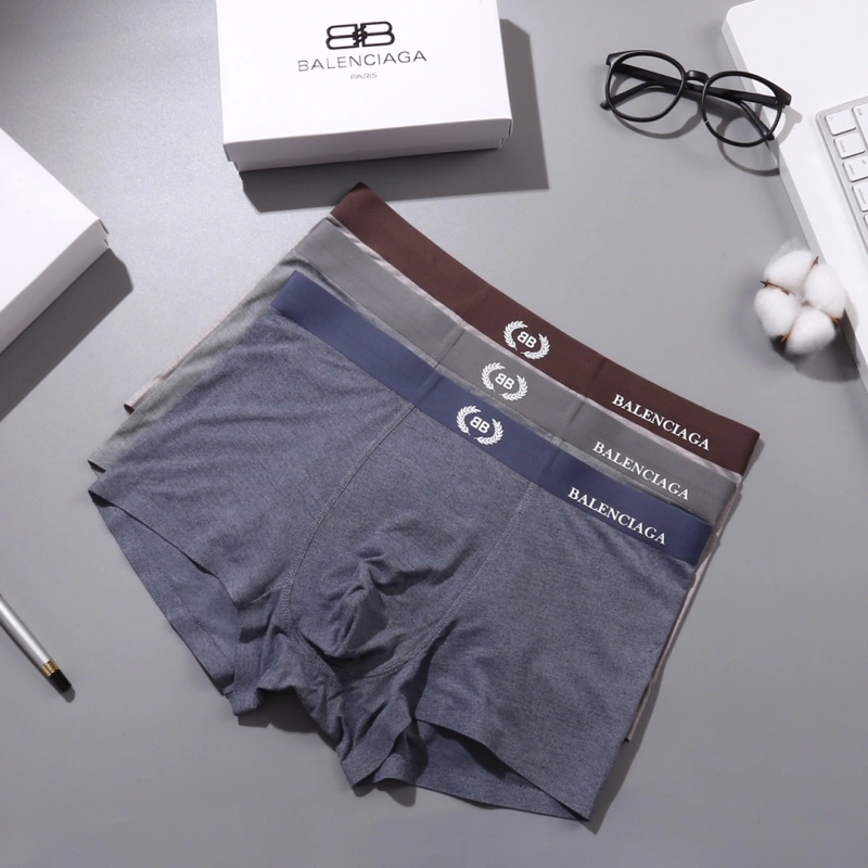 DailyWear Balenciaga Underwear 276541