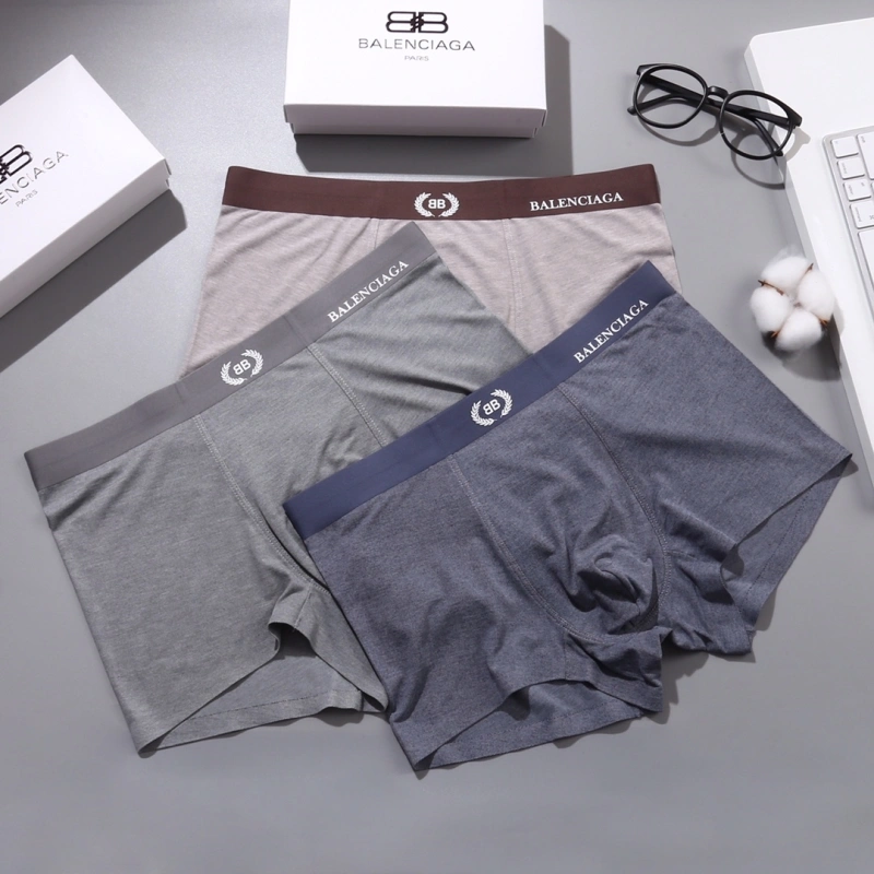 DailyWear Balenciaga Underwear 276541