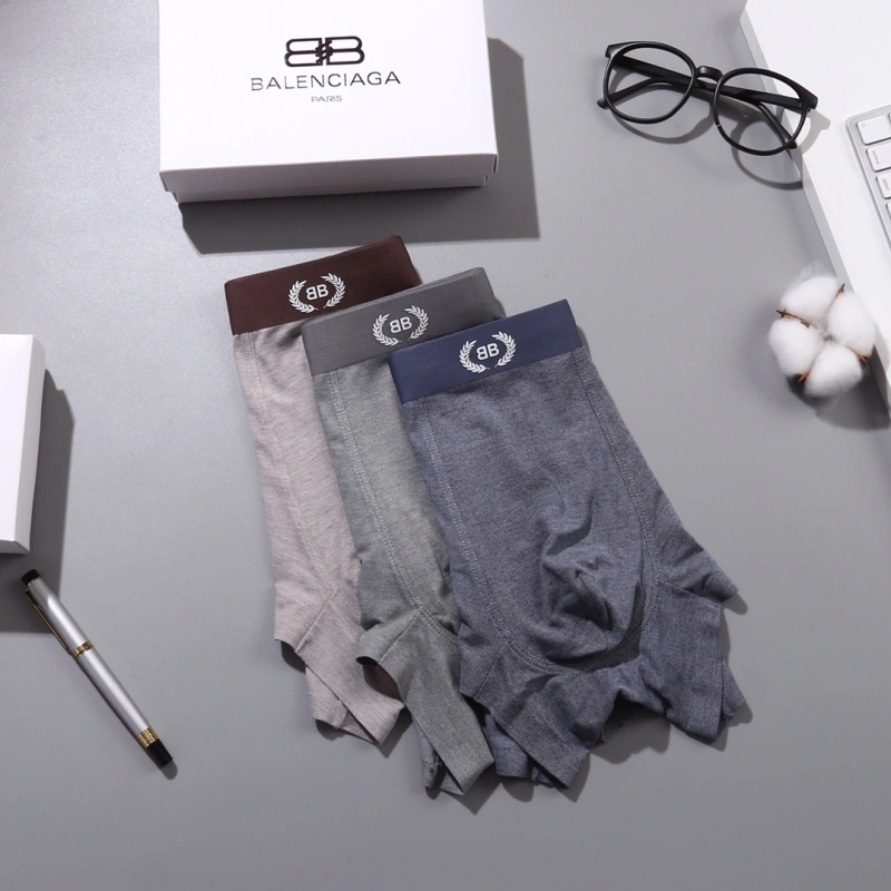 DailyWear Balenciaga Underwear 276541