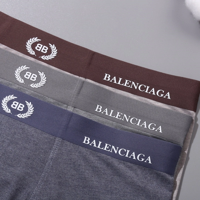 DailyWear Balenciaga Underwear 276541