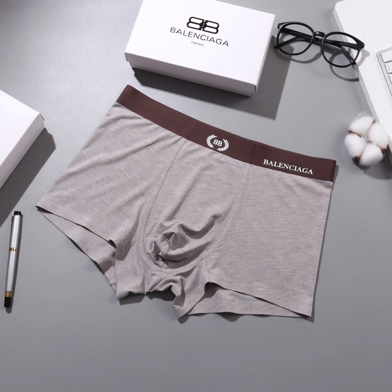 DailyWear Balenciaga Underwear 276541