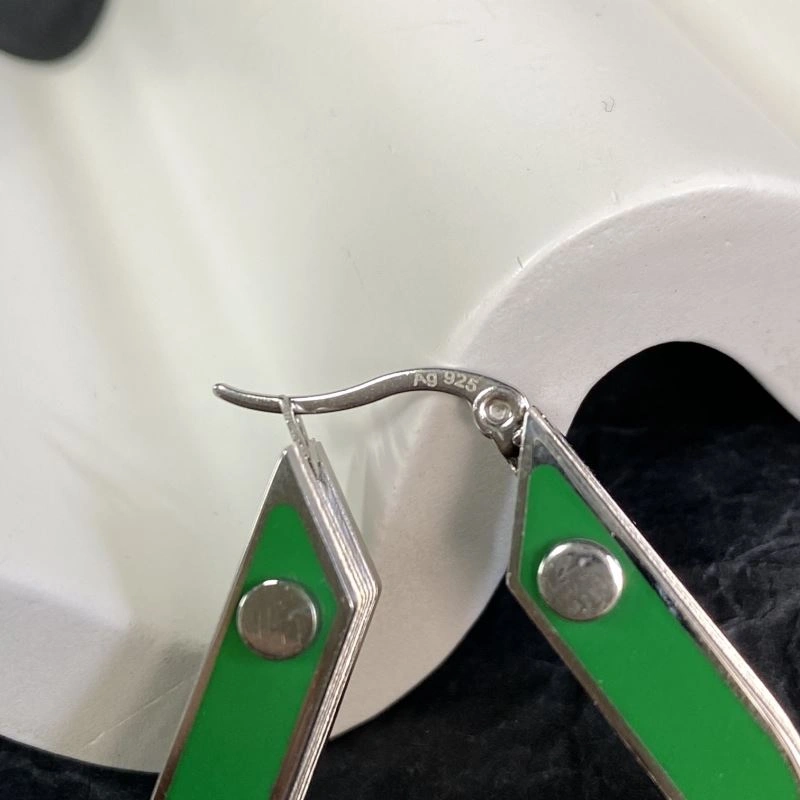 Bottega Veneta Earrings Affordable 214371