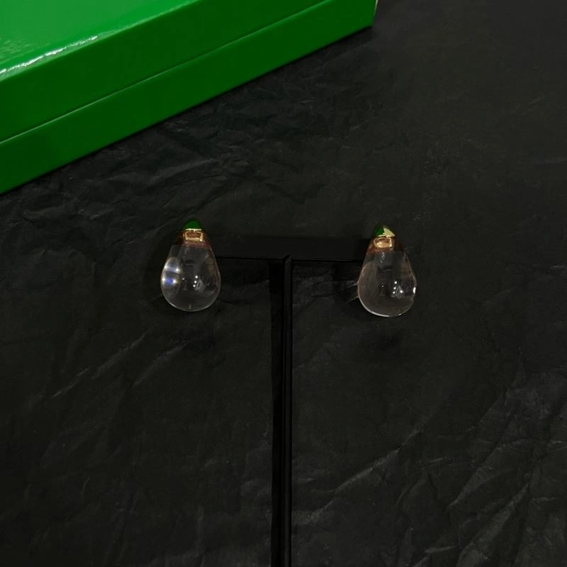 OdorResistant Bottega Veneta Earrings 214388