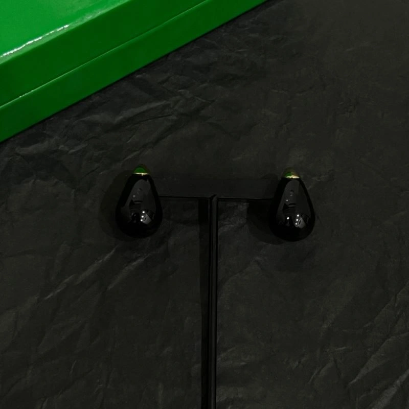 DailyWear Bottega Veneta Earrings 214385