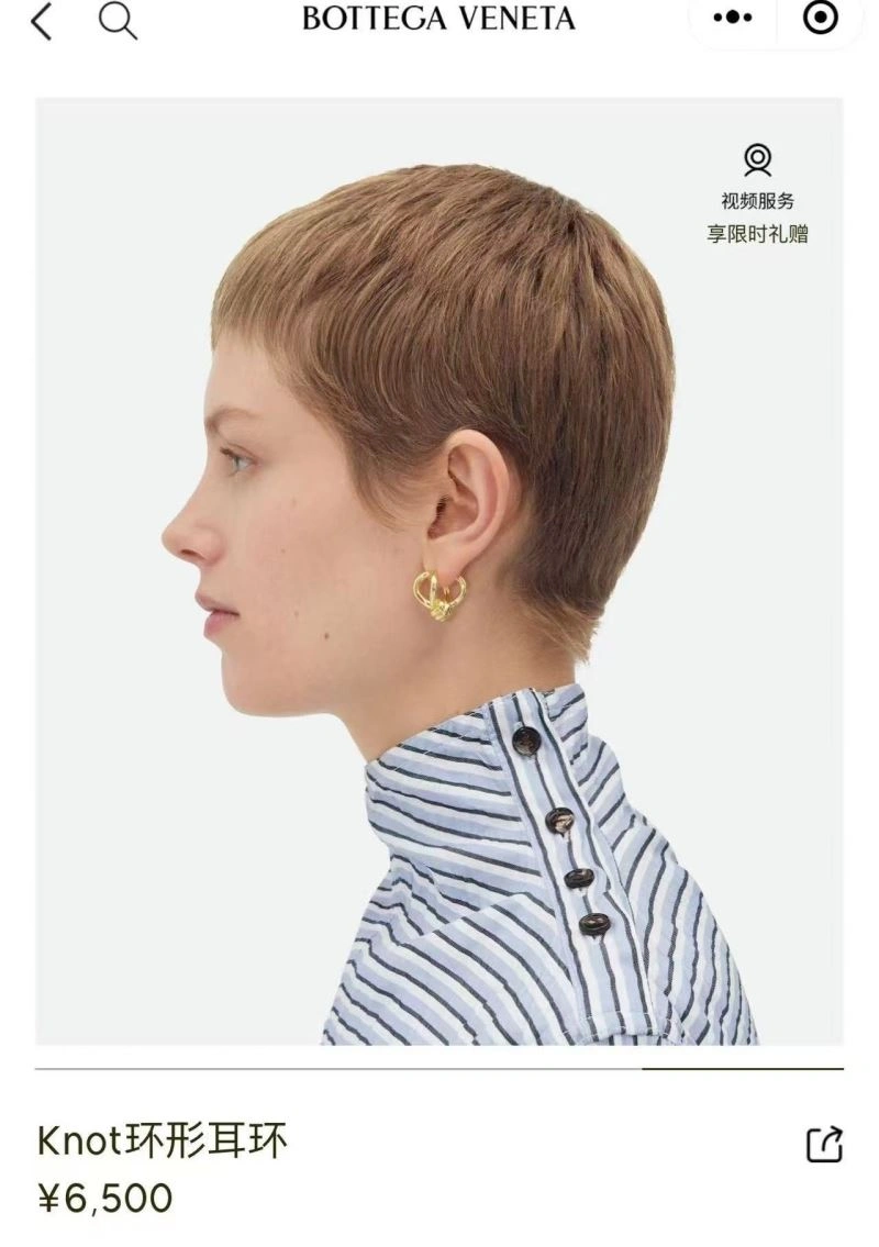 Affordable Bottega Veneta Earrings 211438