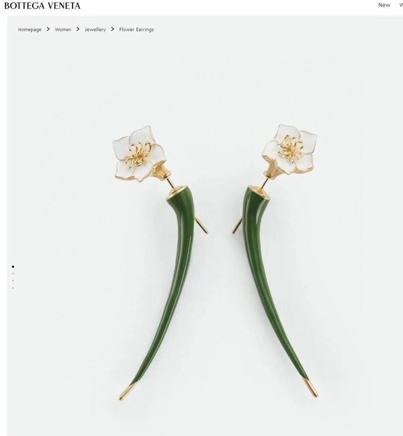 Sleek Bottega Veneta Earrings 210883