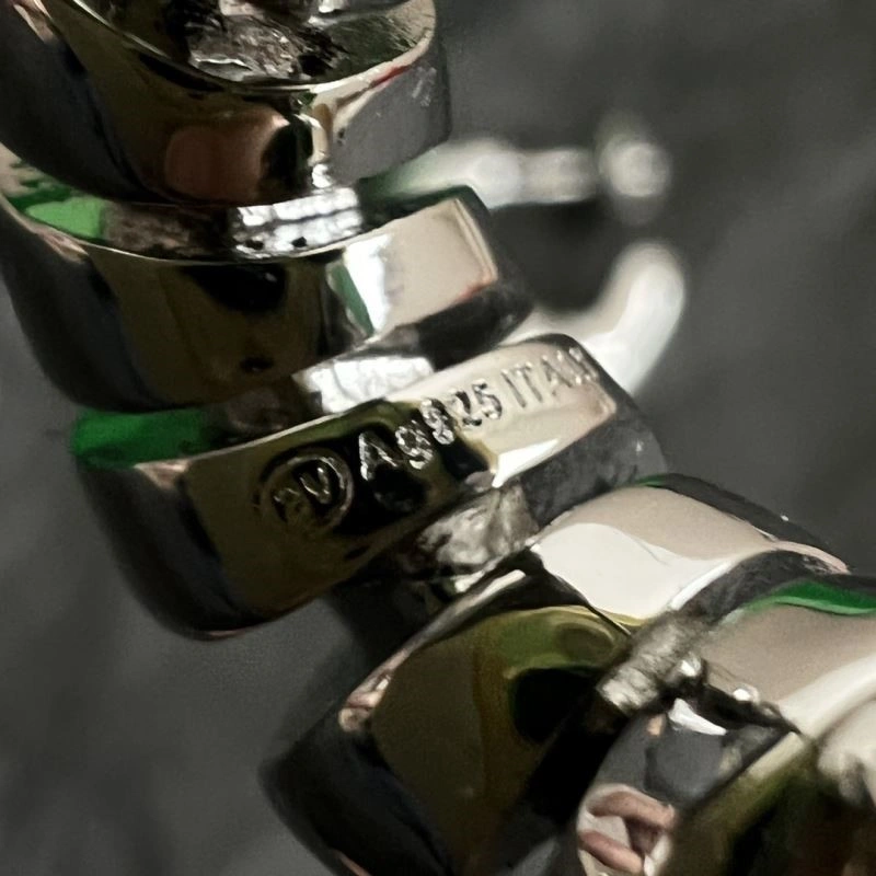 Bottega Veneta Earrings WeatherProof 210190