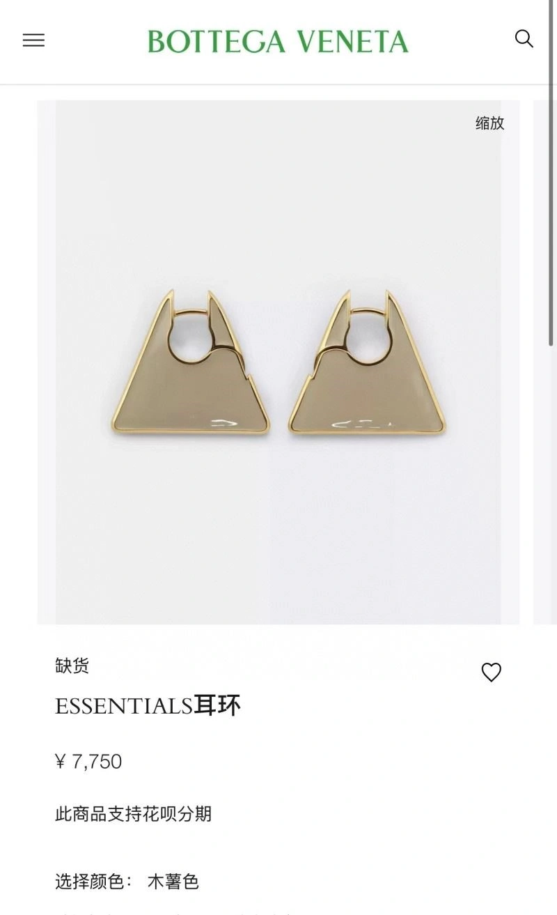 Functional Bottega Veneta Earrings 209467