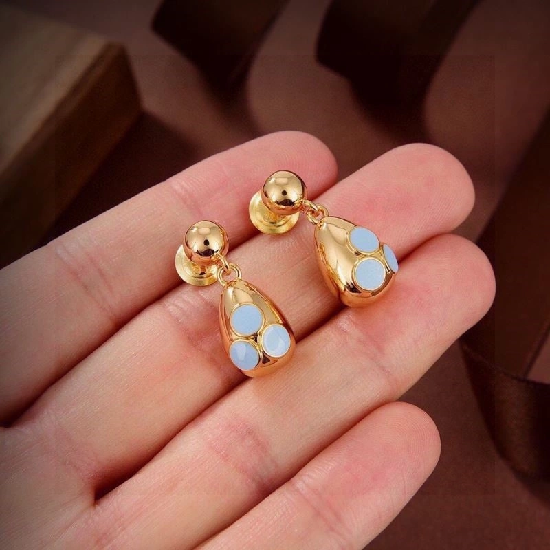 SoftTouch Bottega Veneta Earrings 208895