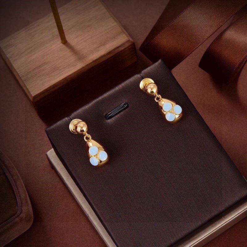 SoftTouch Bottega Veneta Earrings 208895