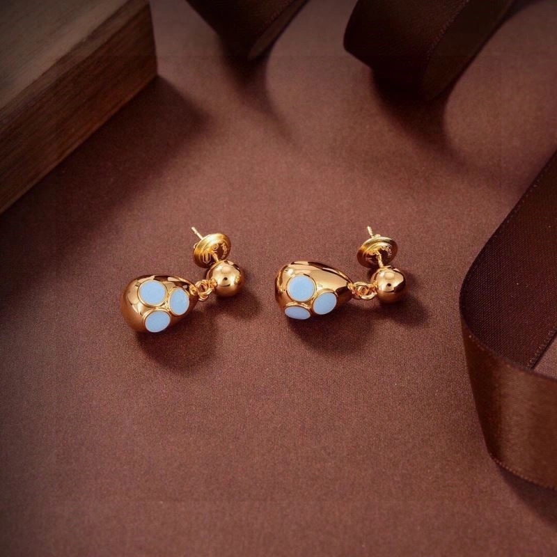SoftTouch Bottega Veneta Earrings 208895