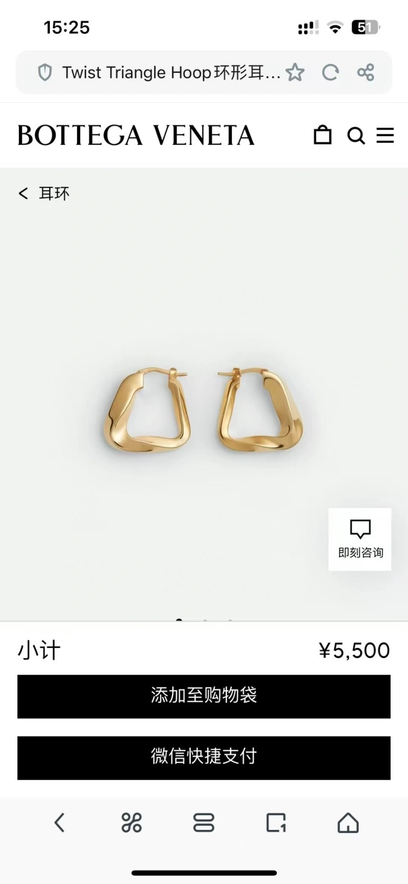Bottega Veneta Earrings Affordable 208188