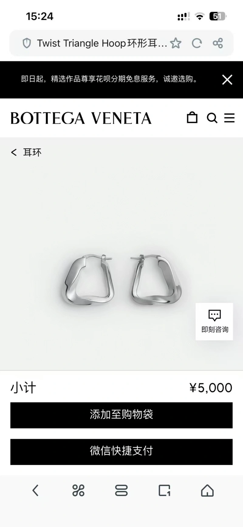 Bottega Veneta Earrings Affordable 208188