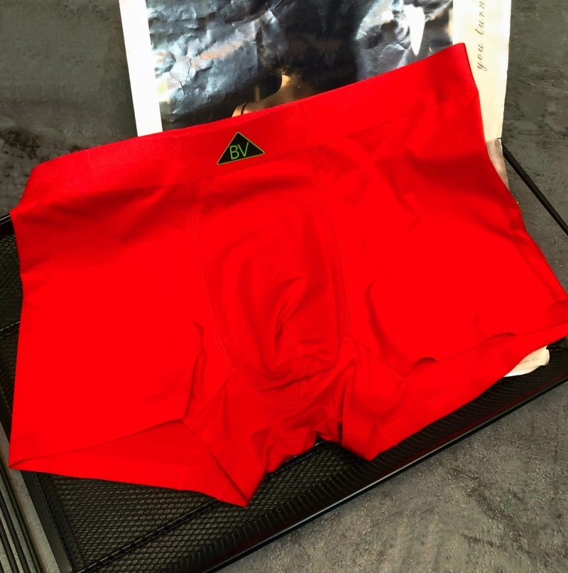 Bottega Veneta Underwear StreetReady 276533