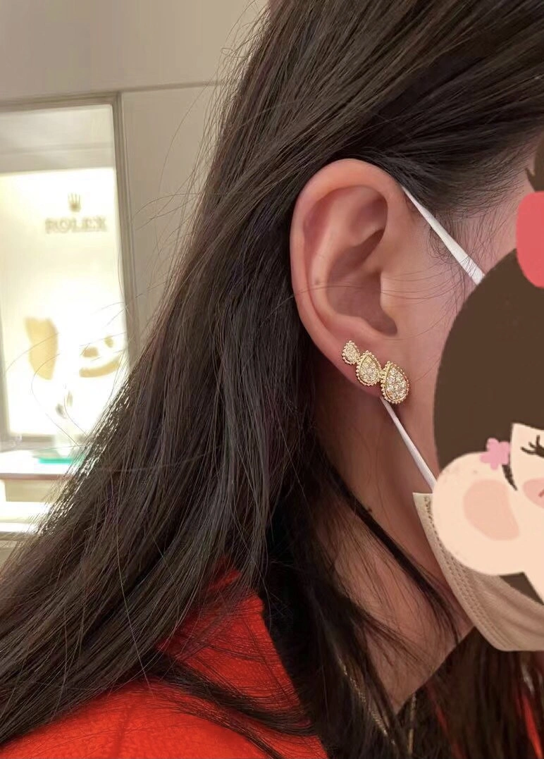 Boucheron Earrings Affordable 214016