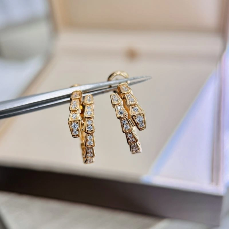 Boucheron Earrings Stretchable 213125