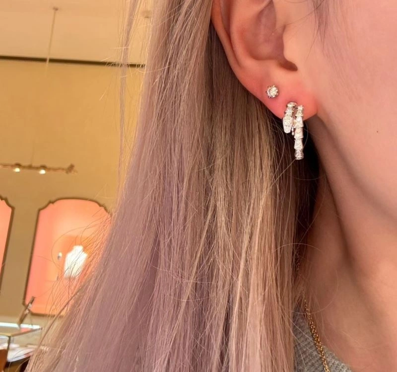 Boucheron Earrings Stretchable 213125