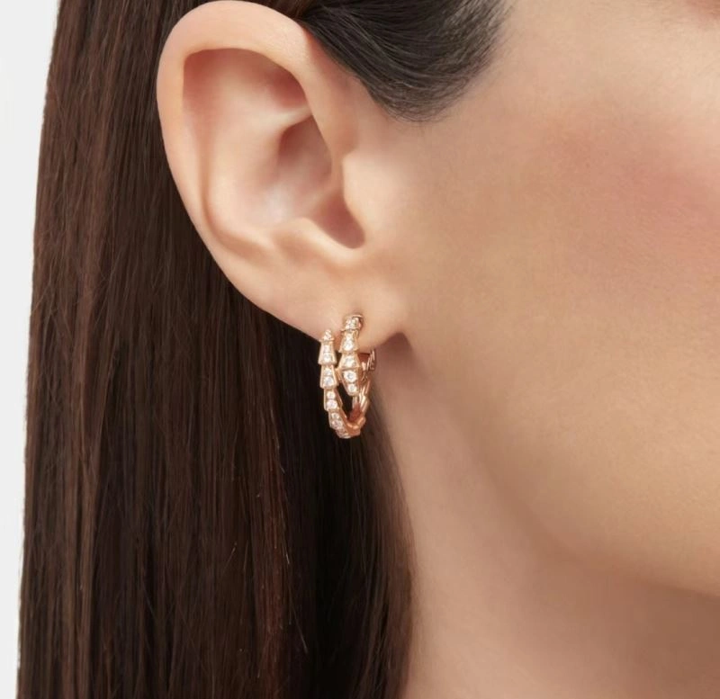 Boucheron Earrings Stretchable 213125