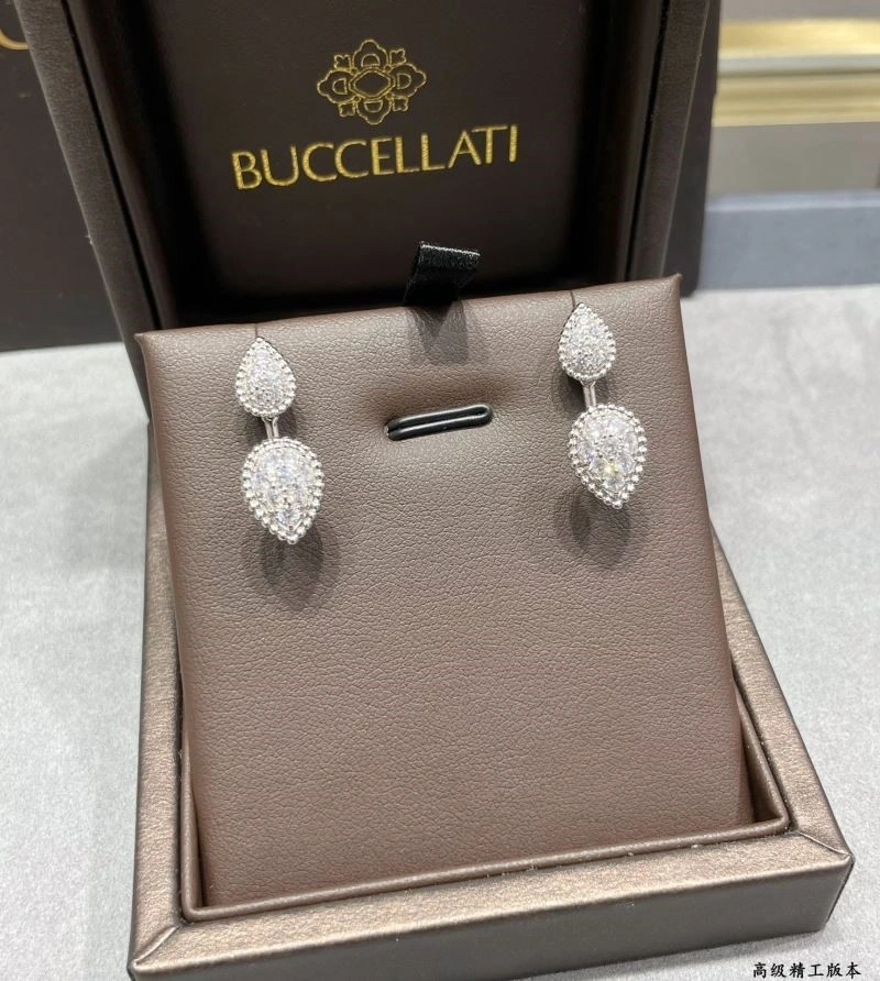 Boucheron Earrings Elegant 210108