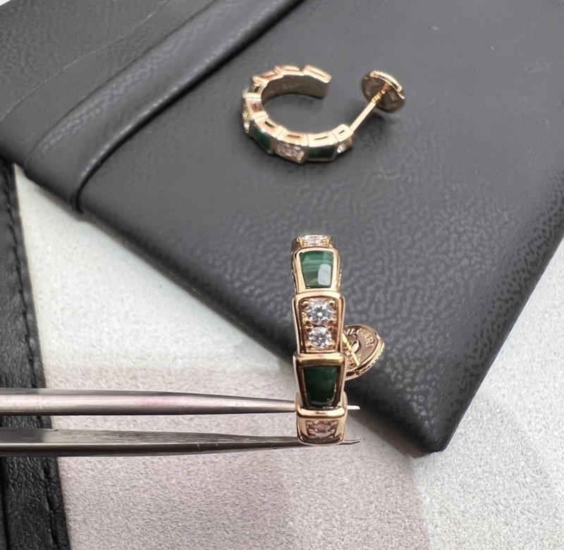Boucheron Earrings FlexibleFit 208165