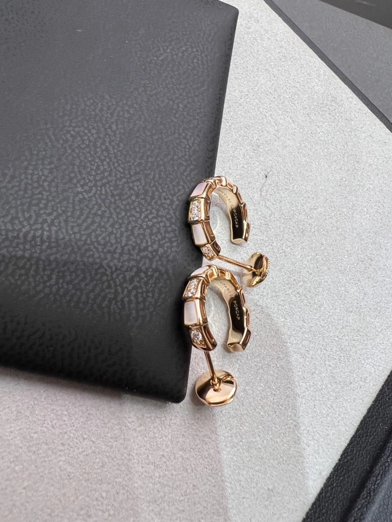 Boucheron Earrings Bright 208164