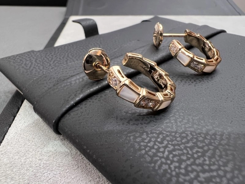 Boucheron Earrings Bright 208164
